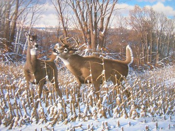 Deer Painting - whitetail 13